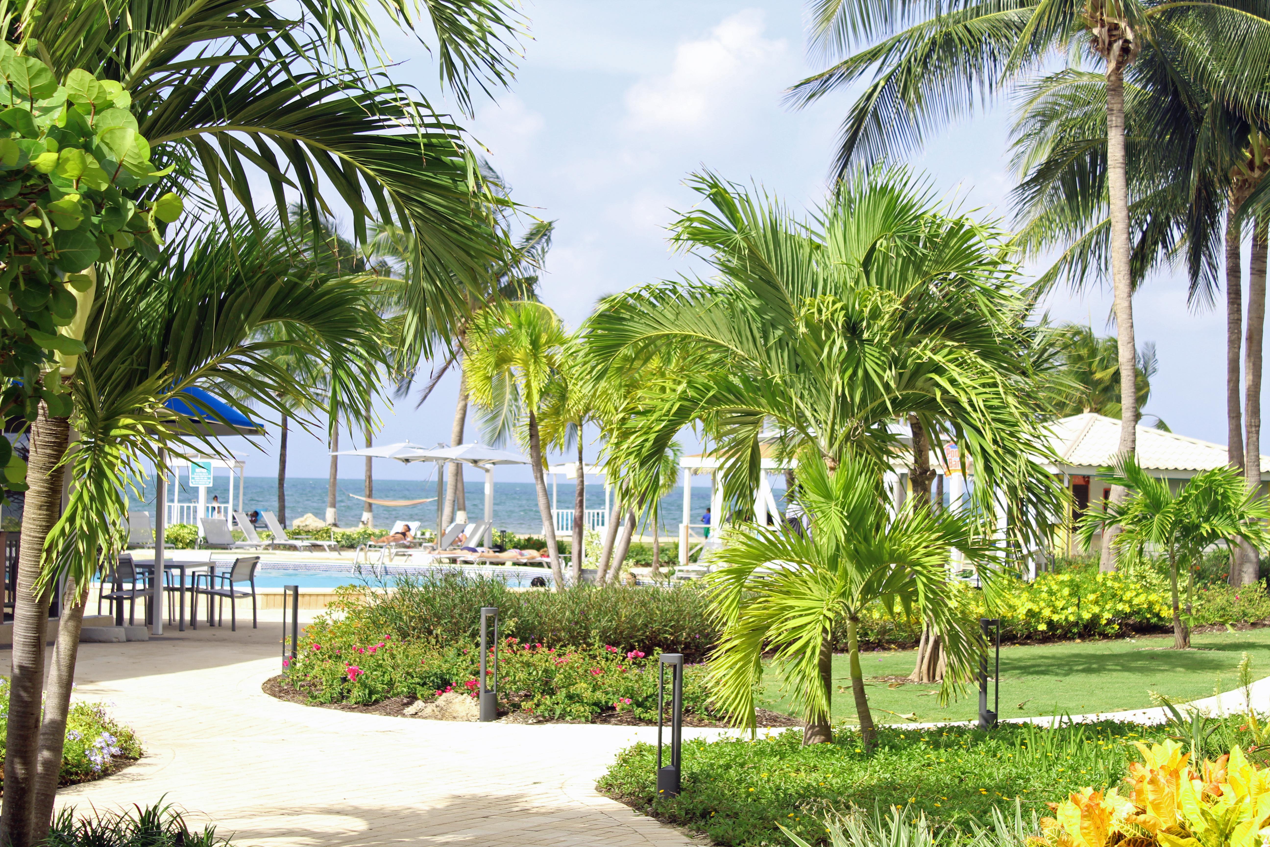 The Grand Caymanian Resort George Town Exterior foto